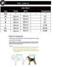 Load image into Gallery viewer, Small Medium Dog Spring Clothes Pet Puppy Costume Dog Cat Sports Apparel Vest For Summer